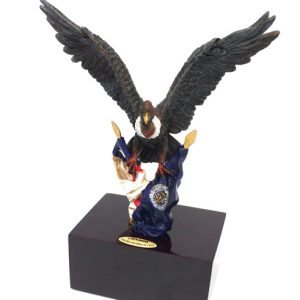 reconocimiento carabineros, reconocimiento, carabineros, reconocimiento institucional,