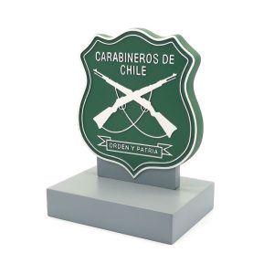 reconocimiento carabineros, reconocimiento, carabineros, reconocimiento institucional,